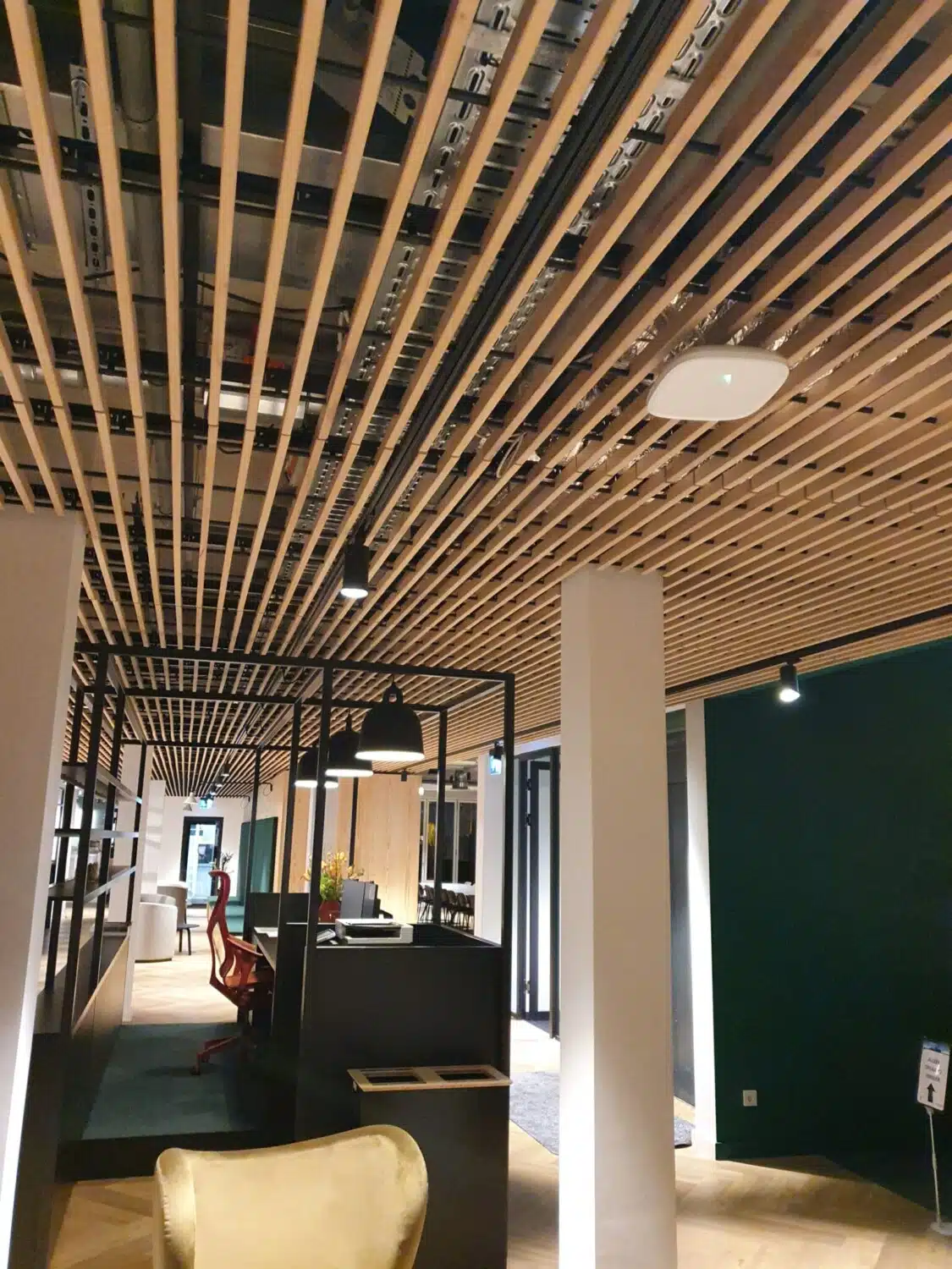 Joanknecht te Eindhoven — projectarchief